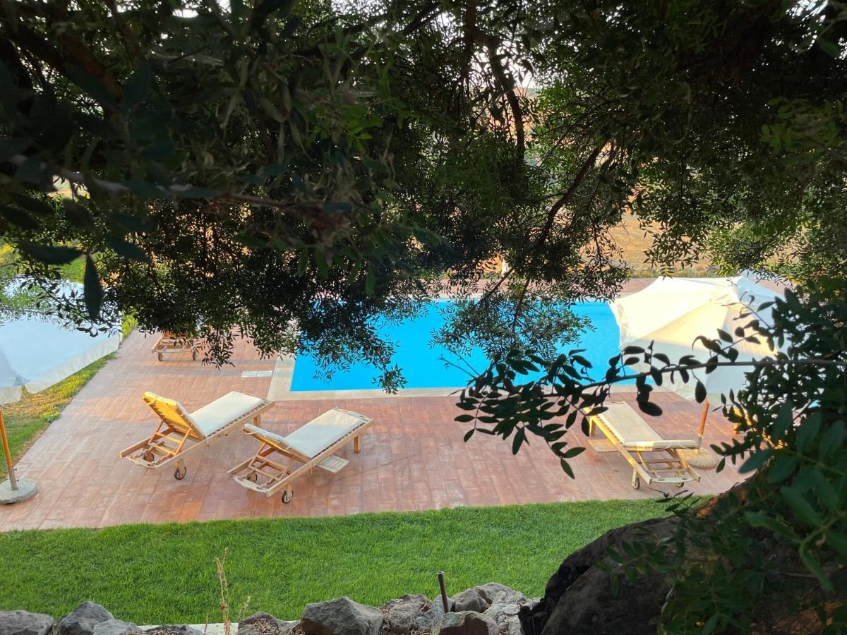Villa Infinity Tergu Dış mekan fotoğraf